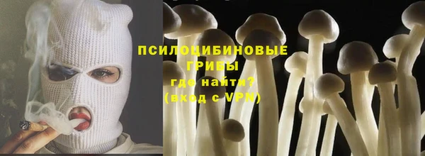 гашик Козельск