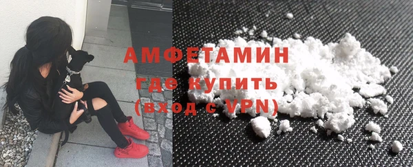 гашик Козельск