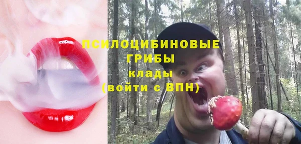 гашик Козельск