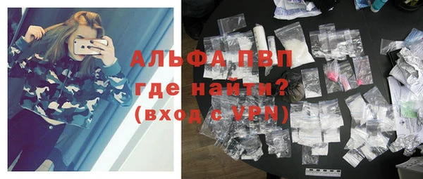 гашик Козельск