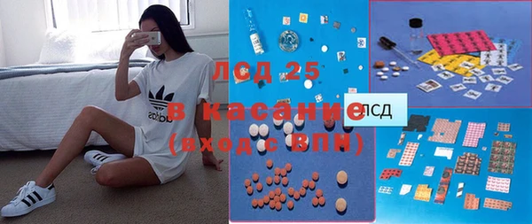 гашик Козельск