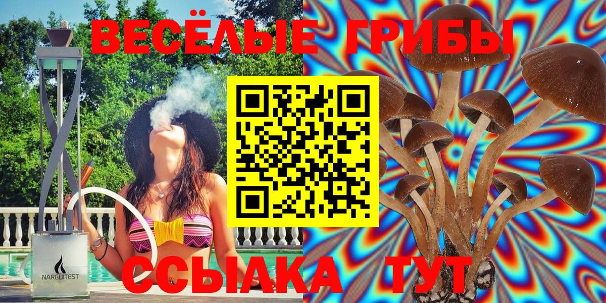 Галлюциногенные грибы Psilocybine cubensis  Галлюциногенные грибы прущие грибы  Белореченск 