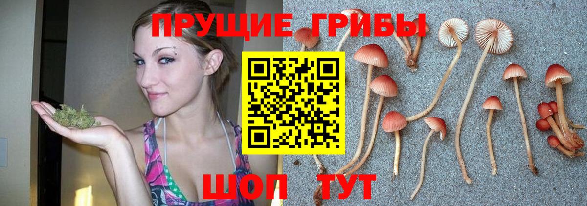 Псилоцибиновые грибы Magic Shrooms Белореченск